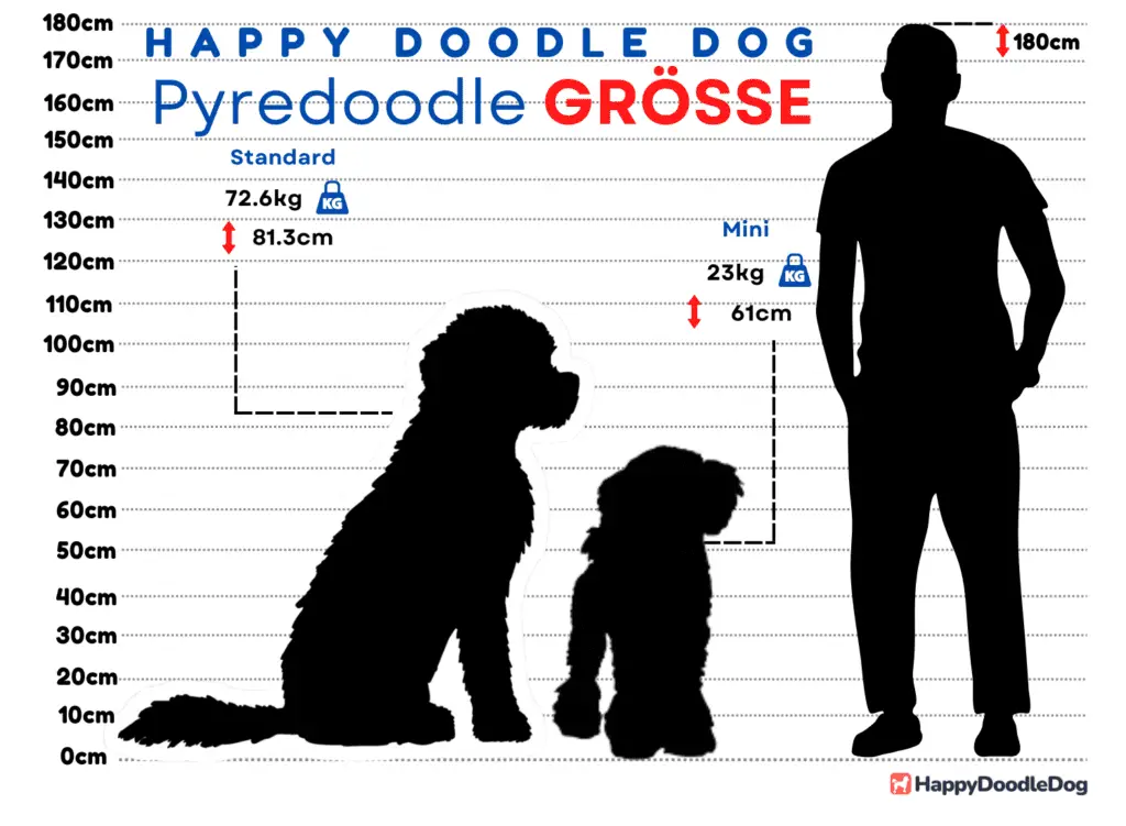 pyredoodle size comparison