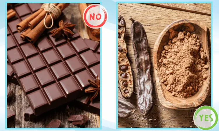 warum ist schokolade für hunde gefährlich