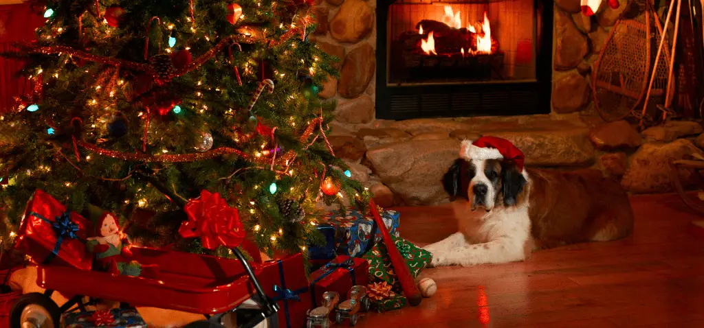 Gefahren für Hunde zur Weihnachtszeit