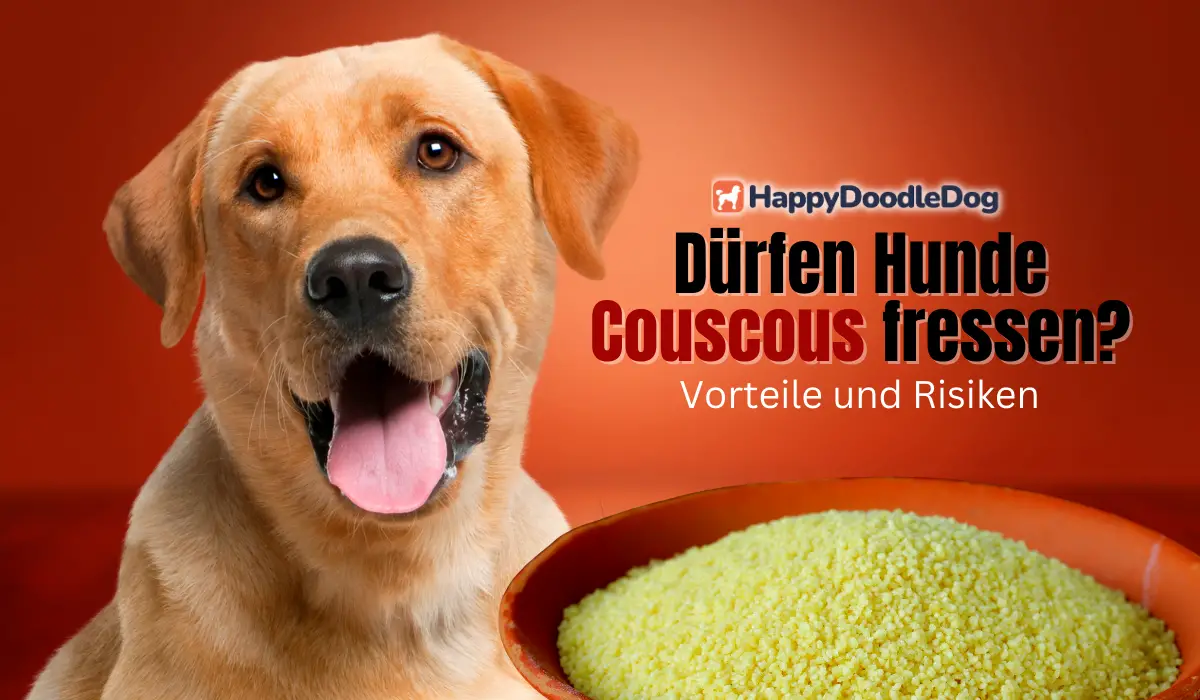 couscous für hunde