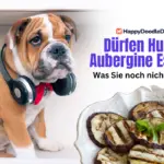 Dürfen Hunde Aubergine Essen?