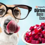 Dürfen Hunde Rote Beete Essen?