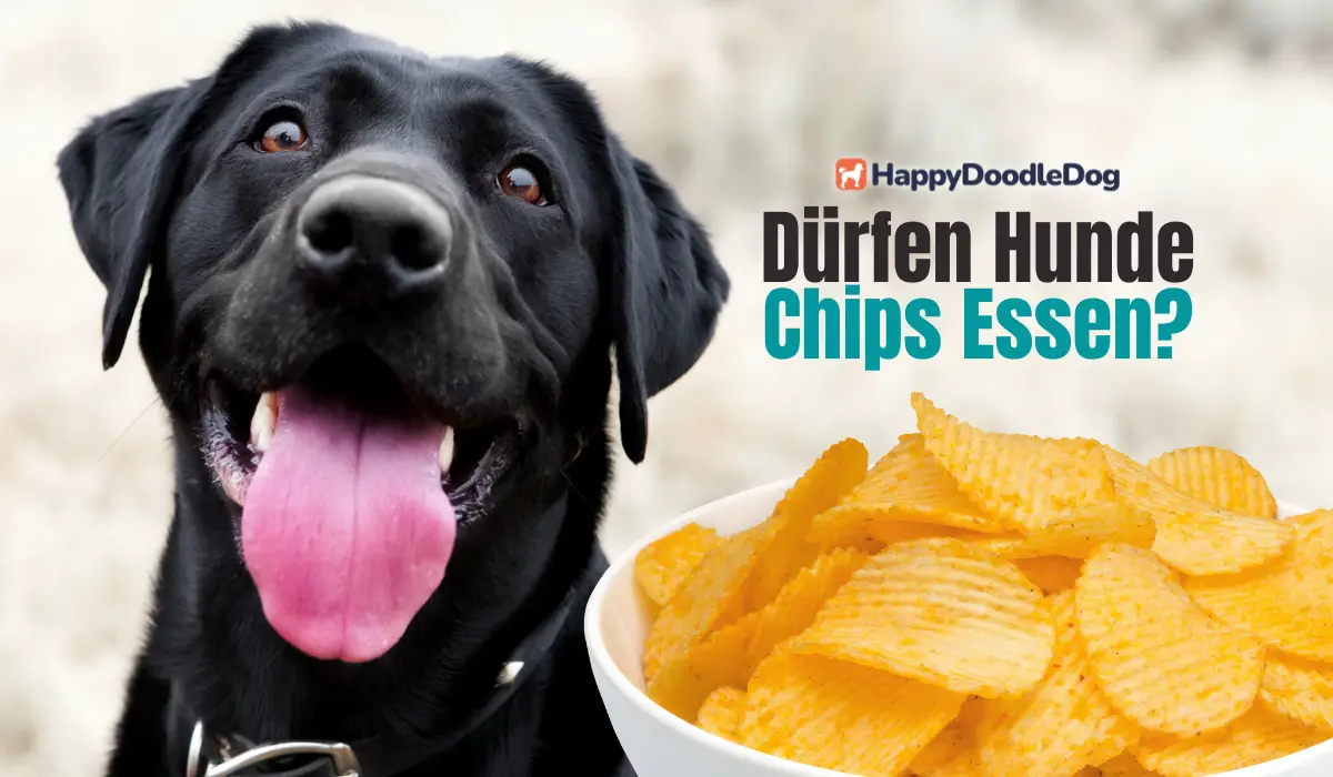 Dürfen Hunde Chips Essen?