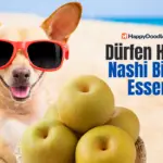 Dürfen Hunde Nashi Birnen Essen?