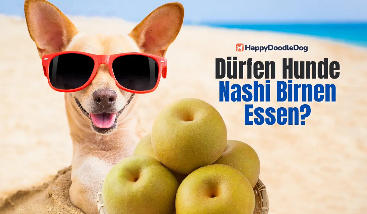 Dürfen Hunde Nashi Birnen Essen?