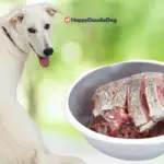 Dürfen hunde fisch essen